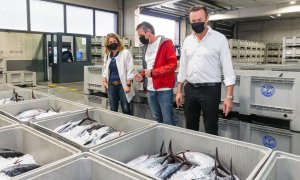 Descargados en el puerto de Laredo 58.000 kilos de bonito que se ha vendido a precios "razonables"