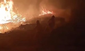 El incendio de El Tiemblo (Ávila), cerca de estabilizarse