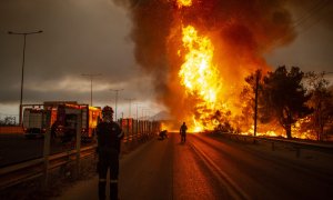 Grecia, Afidnes: los bomberos luchan contra un incendio forestal en una zona boscosa al norte de Atenas.
