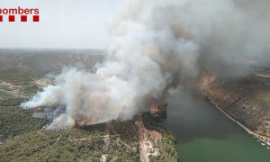 Imatge aèria del foc forestal que crema prop del riu Ebre a la Pobla de Massaluca.