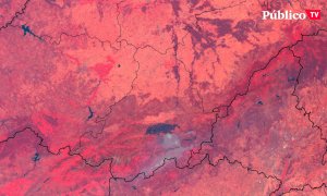 Incendios y la crisis climática: "Es humanamente imposible apagar un incendio a 40 grados"