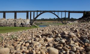 Estado del embalse del Ricobayo en Zamora.