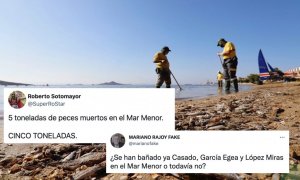 Indignación en redes por el desastre medioambiental en el Mar Menor