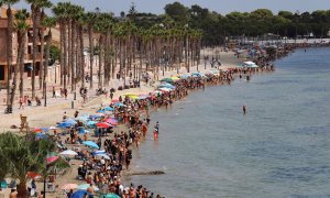 Miles de personas dan abrazo simbólico al Mar Menor de luto por fauna muerta