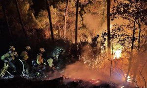 Imágenes del incendio en Sierra Bermeja