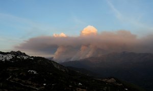 Vista general del humo del incendio de Sierra Bermeja.