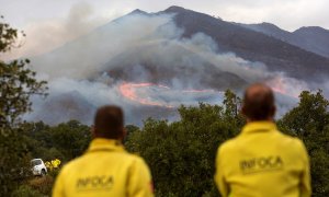 13/09/2021 El incendio de Sierra Bermeja deja decenas de animales carbonizados