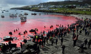 Islas Feroe tras una caza de delfines y ballenas. Foto de archivo