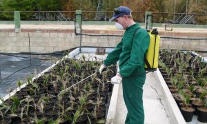 Trabajador de uno de los centros especiales de empleo que recibió las ayudas el pasado año, Fundown Plant.