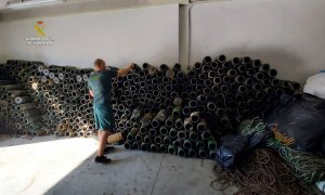 Liberados 265 kilos de pulpos vivos atrapados en nasas ilegales en Santoña