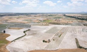 Vista aérea de los cultivos intensivos en las Tablas de Daimiel.