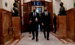 20/10/2021.- El líder de Vox, Santiago Abascal (i) y su portavoz parlamentario, Iván Espinosa de los Monteros (d) a su llegada al pleno del Congreso este miércoles en Madrid. EFE/ Emilio Naranjo