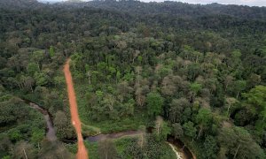Una vista aérea muestra un camino forestal que atraviesa la selva tropical en la provincia de Nyanga, Gabón, el 14 de octubre de 2021.