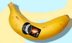 Plátano de Canarias "del volcán": la nueva pegatina distintiva del producto palmero que busca ayudar a los agricultores.