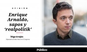 Dominio Público - Enrique Arnaldo, sapos y 'realpolitik'