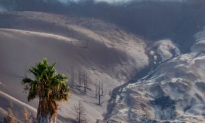 24/11/2021.- Los alrededores del cono del volcán de Cumbre Vieja, sufren los efectos de los gases, cenizas y altas temperaturas