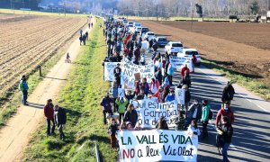 12/12/2021 - Una imatge de la manifestació d'aquest diumenge contra les variants de les Preses i d'Olot.