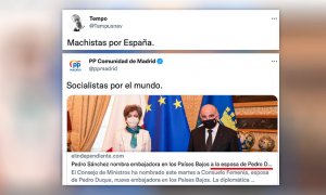 "¿No os da vergüenza?": críticas al PP de Madrid por su retuit sobre Consuelo Femenía, "la esposa de Pedro Duque"