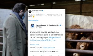 El PP hace un borrado masivo de sus tuits contra las macrogranjas en Castilla-La Mancha, pero no puede con la hemeroteca