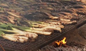 Valls celebra a lo grande su tradicional Festa de la Calçotada