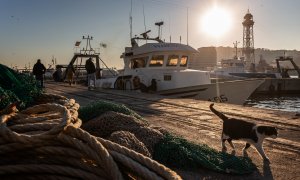 01/2022 - Les embarcacions pesqueres s'han reduit dràsticament a la Barceloneta en els darrers anys, degut a la pressió de la pesca industrial.