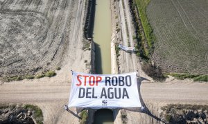 Activistas de WWF despliegan una pancarta en Doñana para denunciar el robo de agua para regadío ilegal.