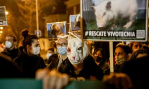 Un grupo de personas sostiene pancartas durante la concentración contra el CSIC por las víctimas de Vivotecnia, ante las dependencias del CSIC, a 27 de enero de 2022, en Madrid.