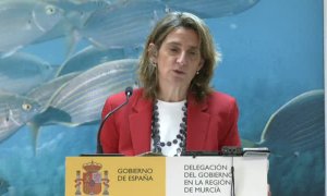 El Gobierno recurrirá al Constitucional la legalización de regadío en Doñana si el PP sigue adelante