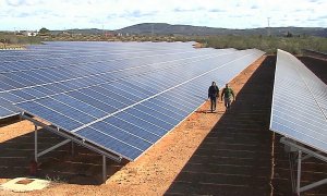 Un camp de plaques fotovoltaiques al País Valencià.