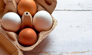 Alerta en Europa por un brote de salmonelosis en huevos de origen español