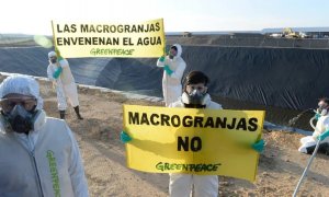 Comisión Europea de la razón al ministro Garzón sobre el impacto ambiental de las macrogranjas
