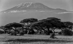 El libro que retrata la deriva climática de África, el continente más afectado por el calentamiento global