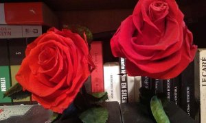 Libros y flores. Recomendaciones de Sant Jordi