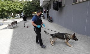 06/05/2022 Agentes de la Ertzaintza registran un piso en la localidad guipuzcoana de Irún (Gipuzkoa), al que ha acudido con el detenido por su presunta vinculación con los asesinatos de hombres en Bilbao