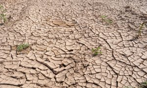 11/05/2022-Imagen de archivo de tierra afectada por la sequía