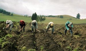 Manos Unidas alerta sobre la crisis humanitaria causada por la violencia en Colombia