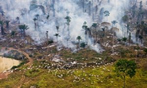 Evitar la deforestación en cualquier lugar del mundo