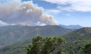 08/06/2022 Vista del incendio declarado en pleno corazón de Sierra Bermeja, a 8 de junio de 2022, en Pujerra, en Málaga.