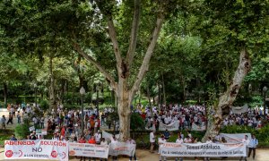 Concetración de trabajadores de Abengoa y de sus filiales frente a la subdelegación del Gobierno en Sevilla para reclamar a la SEPI que autorice la ayuda de 249 millones para salvar a la compañía de ingeniería andaluza. EFE/ Julio Muñoz