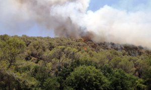 18/06/2022 - Columna de fum a l'incendi d'Olivella, al Garraf.