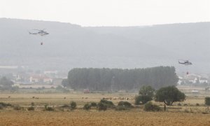 El incendio forestal en la reserva de la Sierra de la Culebra