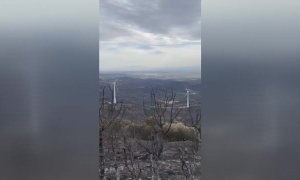 "Ha sido una situación de pánico constante". Los afectados por el incendio de Navarra vuelven a casa