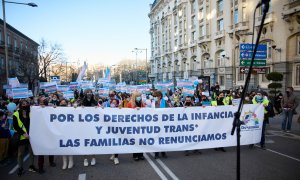 Concentración por los Derechos Humanos de la Infancia y Juventud Trans, frente al Congreso de los Diputados, a 29 de enero 2022, en Madrid.