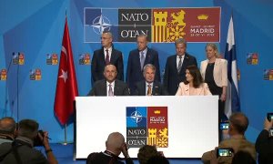 Turquía retira el veto a la entrada en la OTAN de Suecia y Finlandia