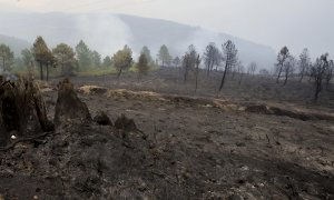 Vista de la zona afectada por el incendio declarado en el término de Monsagro, al suroeste de Salamanca, este miércoles 13 de julio de 2022.