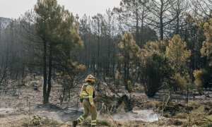 Un técnico revisa una de las zonas quemadas tras el incendio en Cebreros (Ávila).
