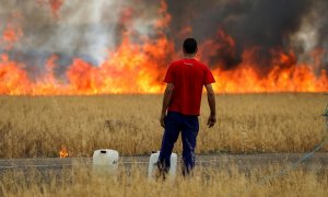 Un pastor observa un incendio en un campo de trigo entre Tabara y Losacio, durante la segunda ola de calor del año, en la provincia de Zamora.