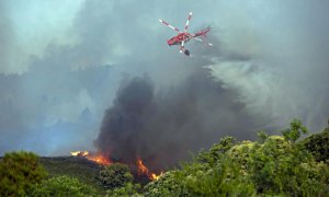 El incendio forestal que afecta a los municipios tinerfeños de Los Realejos y San Juan de la Rambla (Tenerife) es "pequeño pero con mucha potencialidad de extenderse".