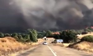 El fuego de Vegalatrave, en Zamora, ya está en fase de estabilización