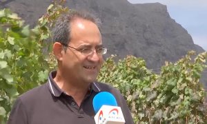 Las altas temperaturas adelantan la ya temprana vendimia de Canarias